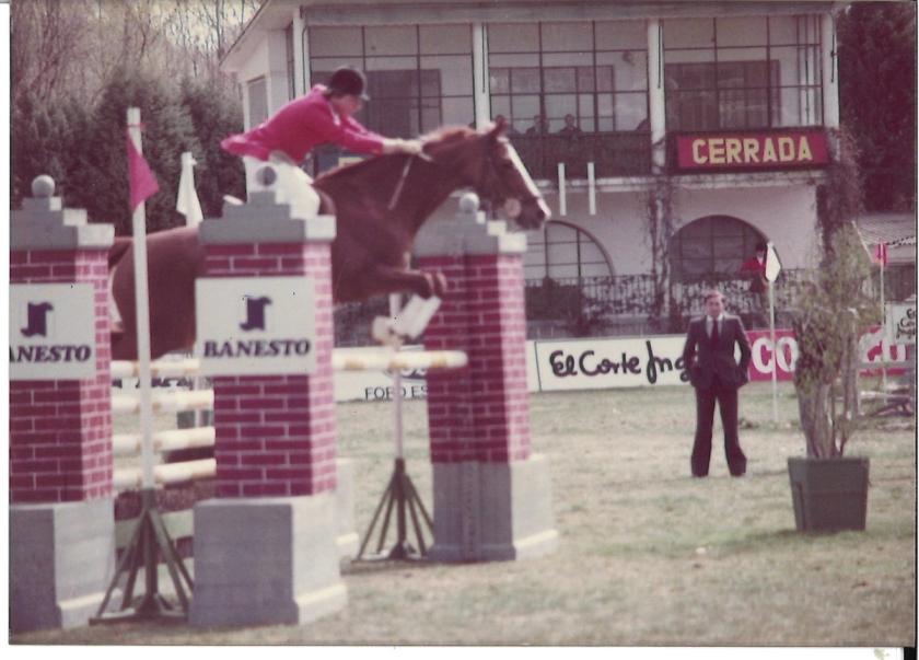 Caballos de Concursos — foto 26