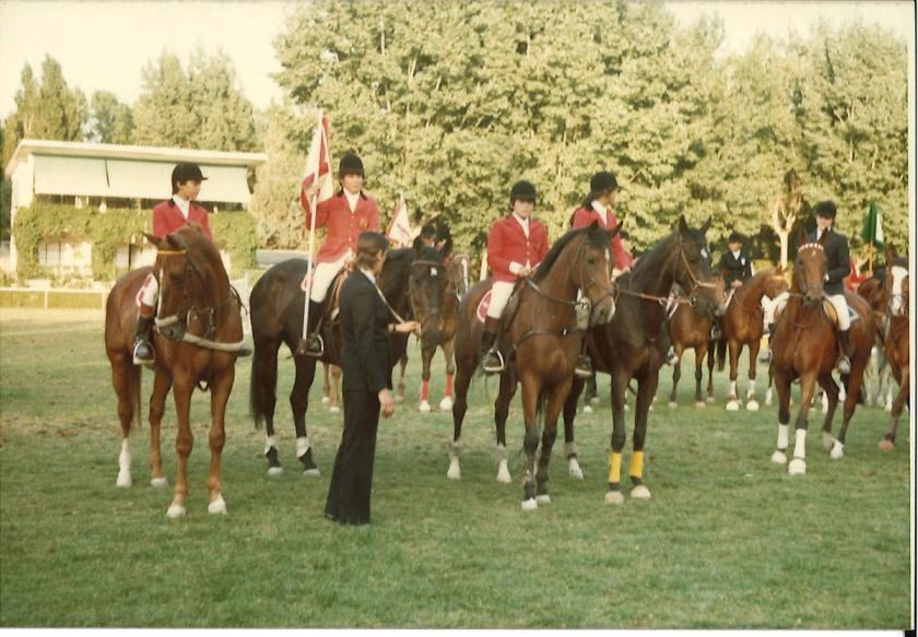 Caballos de Concursos — foto 95