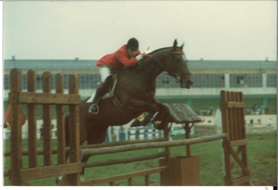 Caballos de Concursos — foto 68