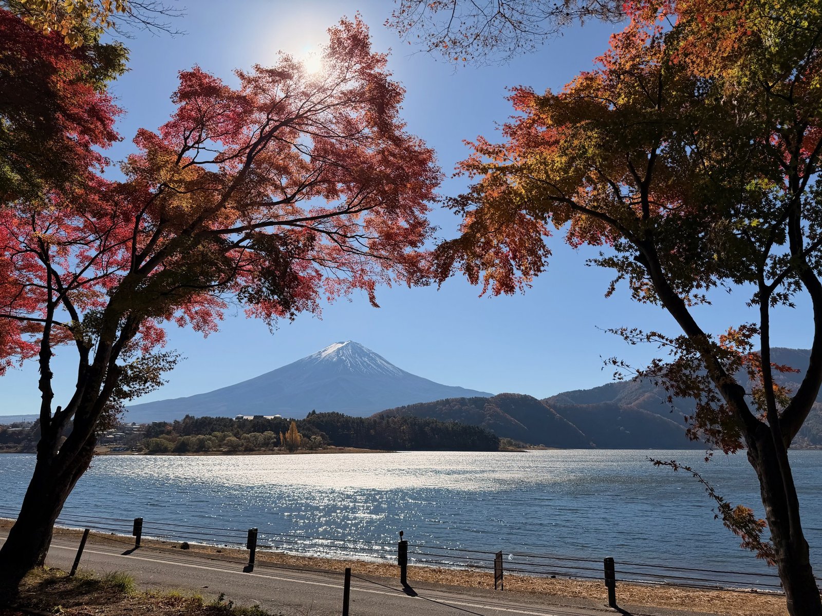 Snow-capped Mount Fuji across a lake, framed by red and orange maple branches.
