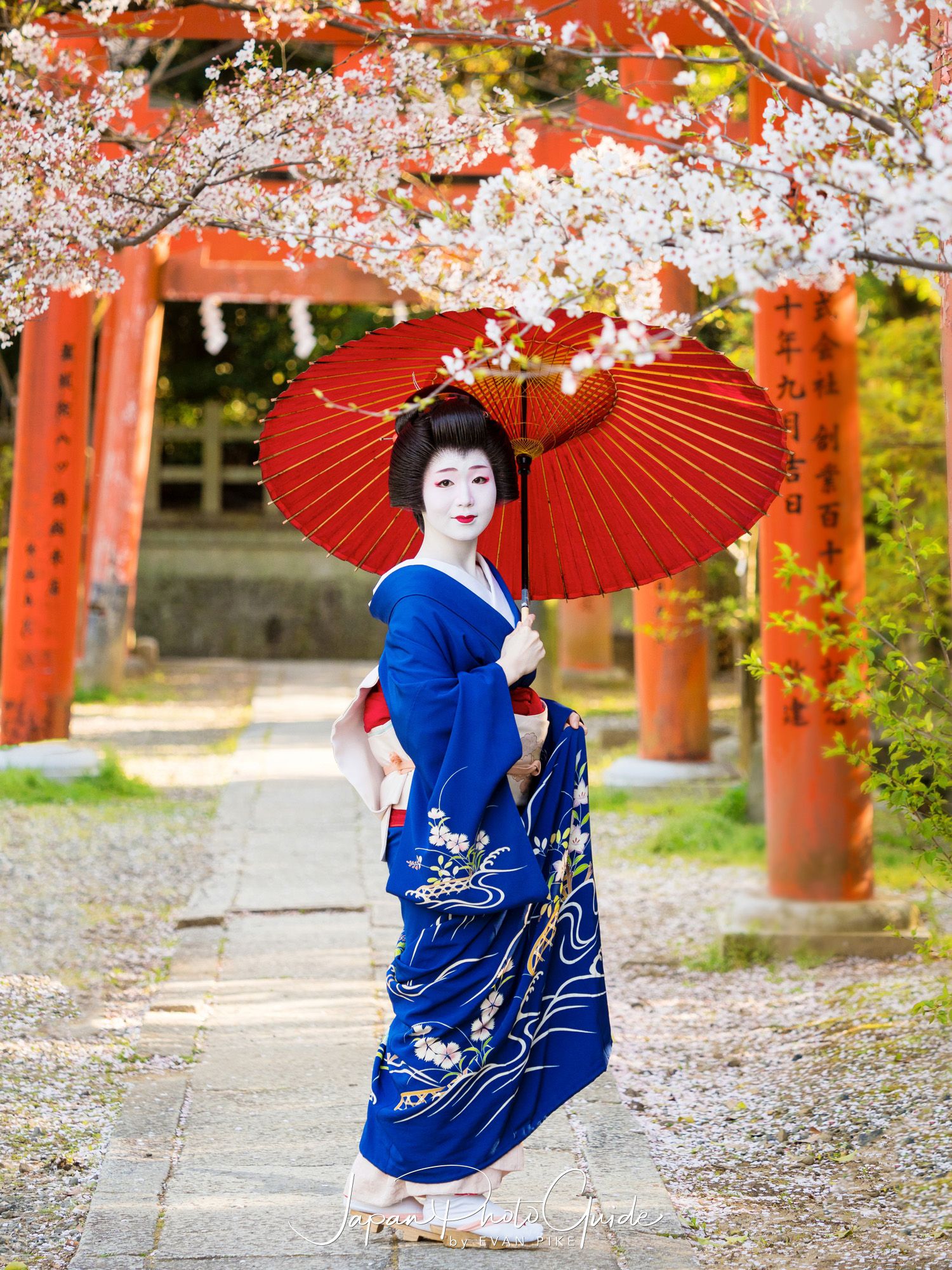 2019 Cherry Blossom Photo Tour | Kyoto Geiko Portrait Session