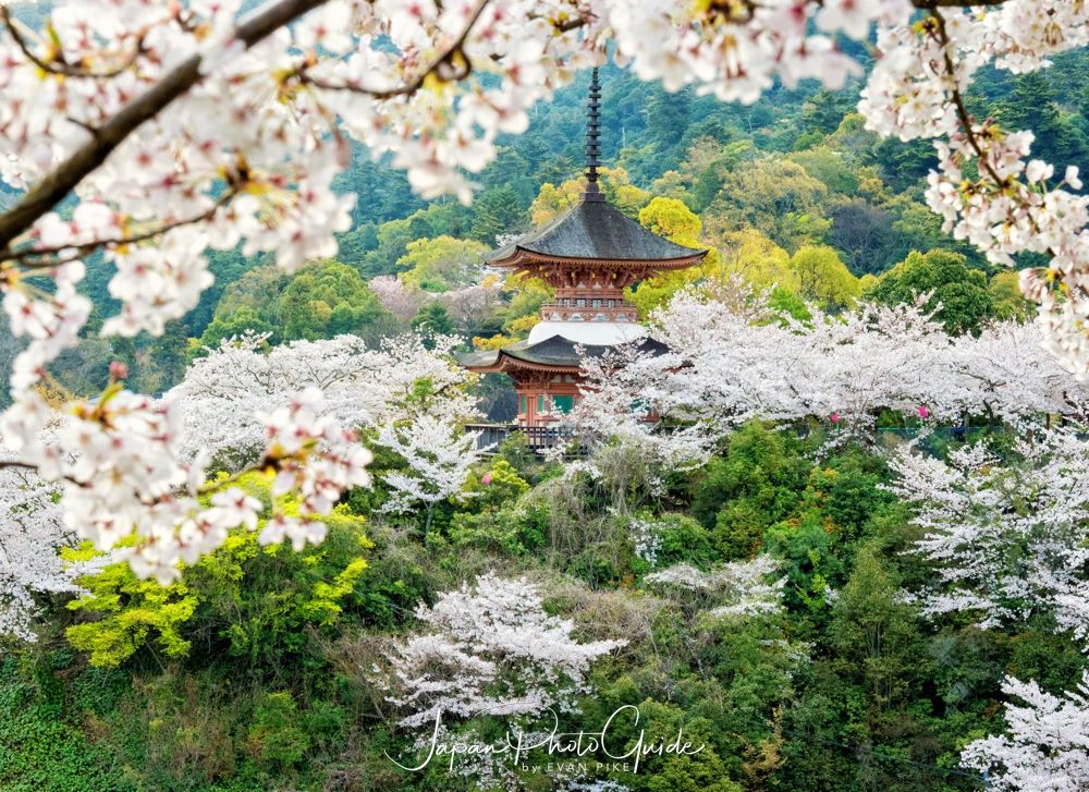 March ’22 Update with Japan’s COVID Measures;