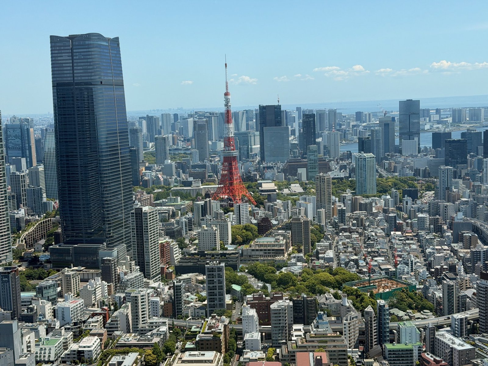 An elevated daytime view of Tokyo Tower among dense city buildings.