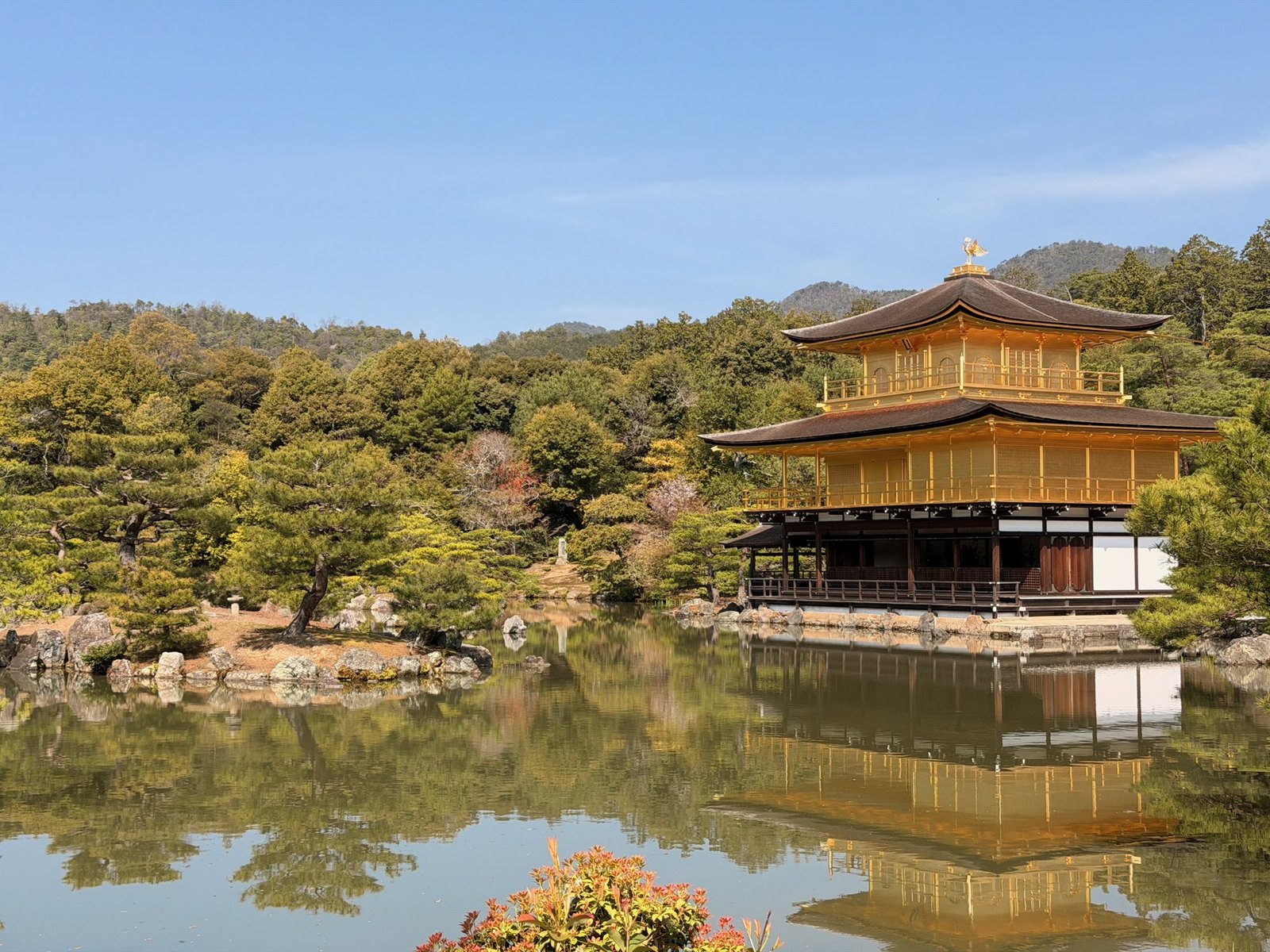 The Golden Pavilion reflected in a pond, surrounded by green trees beneath a blue sky.