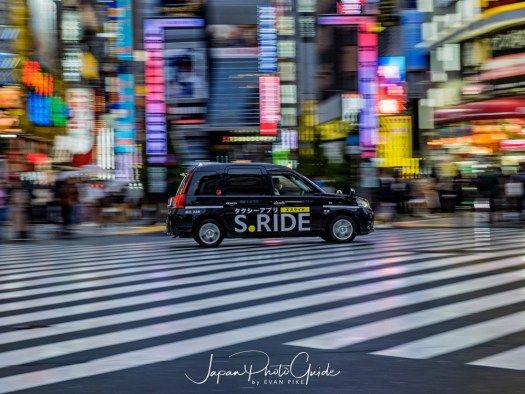 Embracing the Unexpected: Cherry Blossom Photography Tour in Rainy Tokyo 2023
