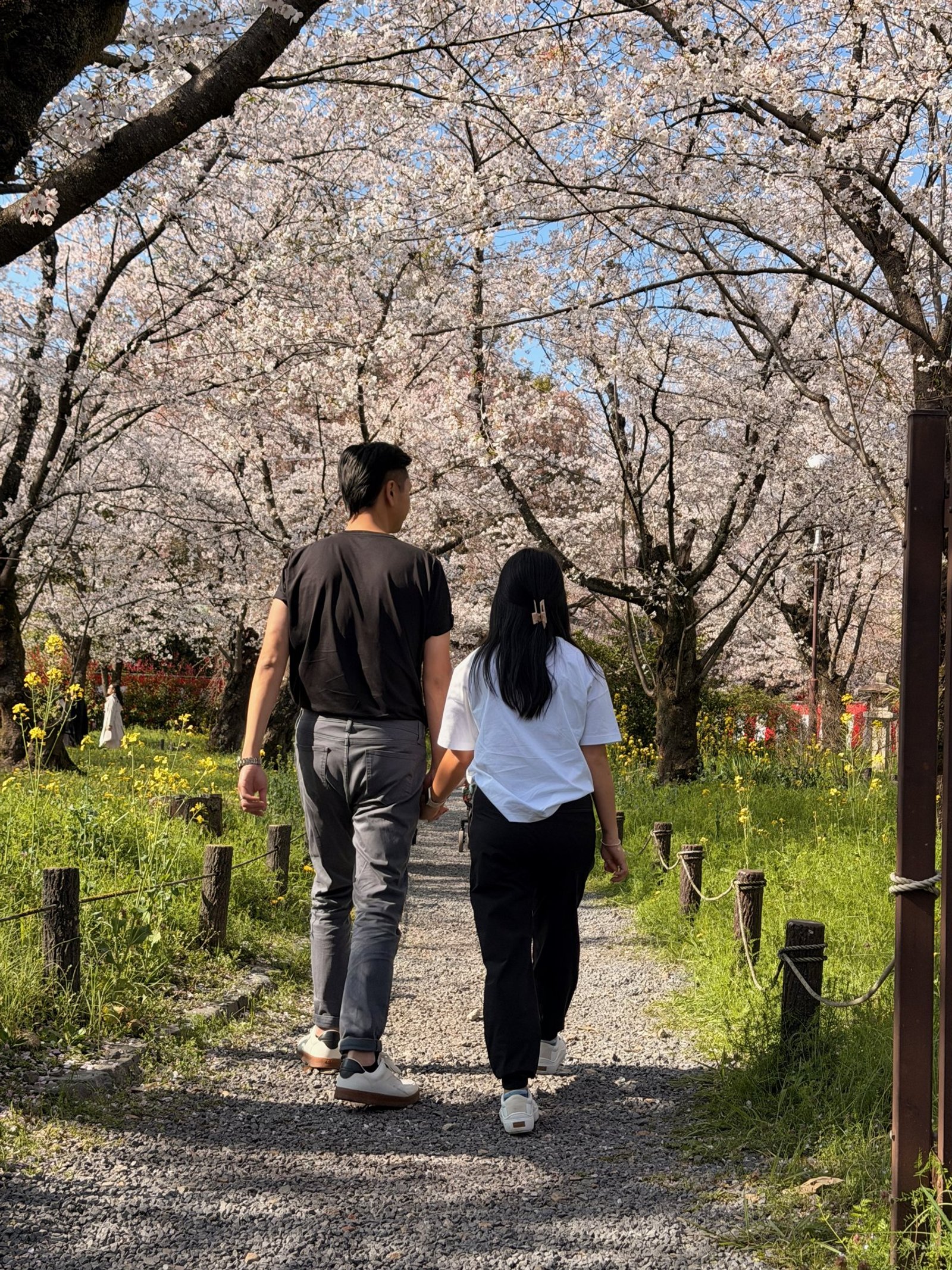 Two travelers holding hands and walking away along a path beneath flowering trees.