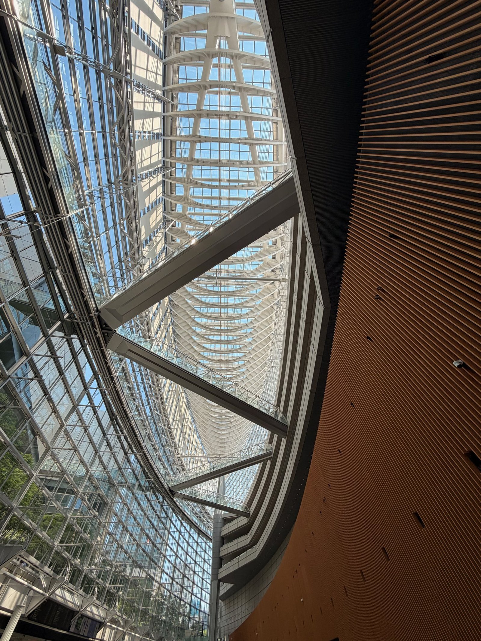 White structural ribs and glass above a curved wooden wall inside Tokyo International Forum.
