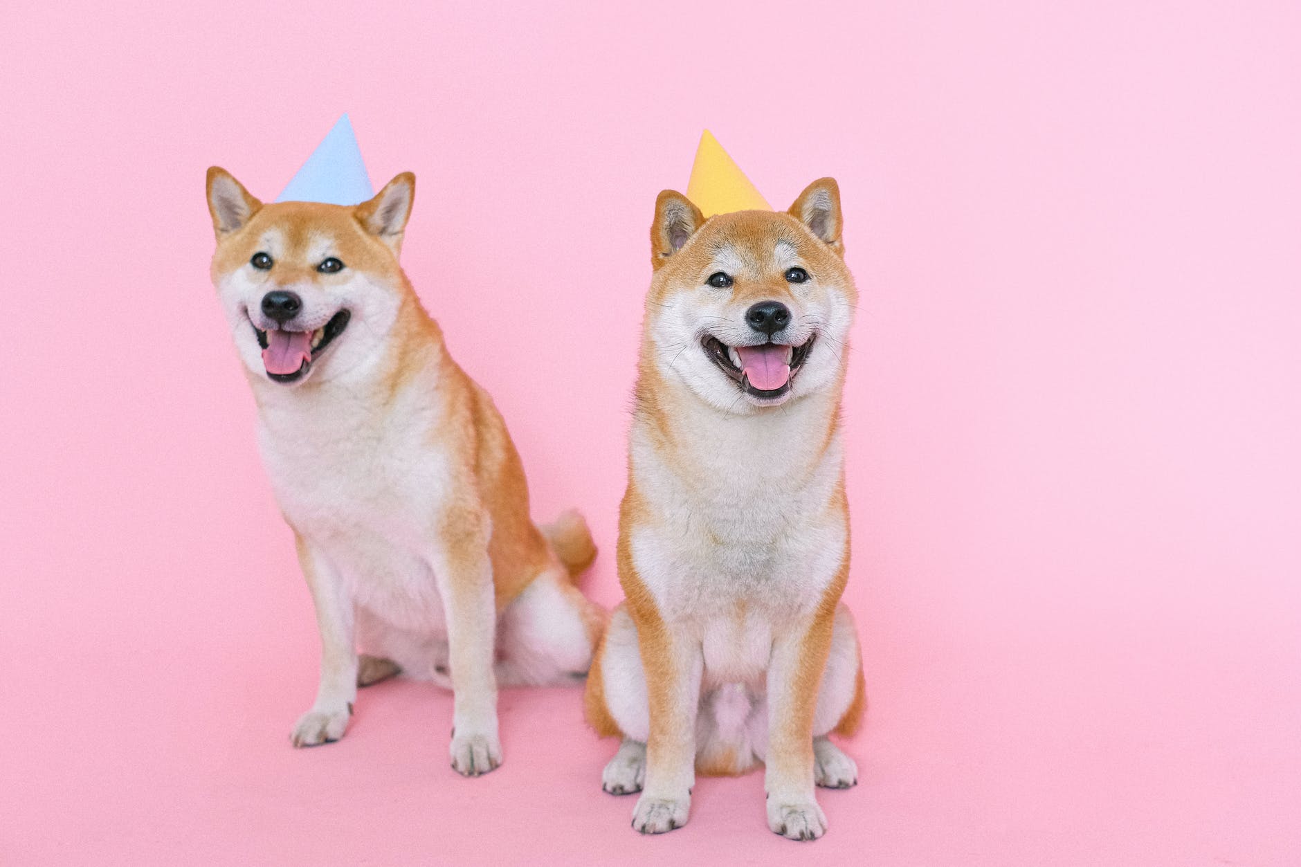 Learn Japanese Today