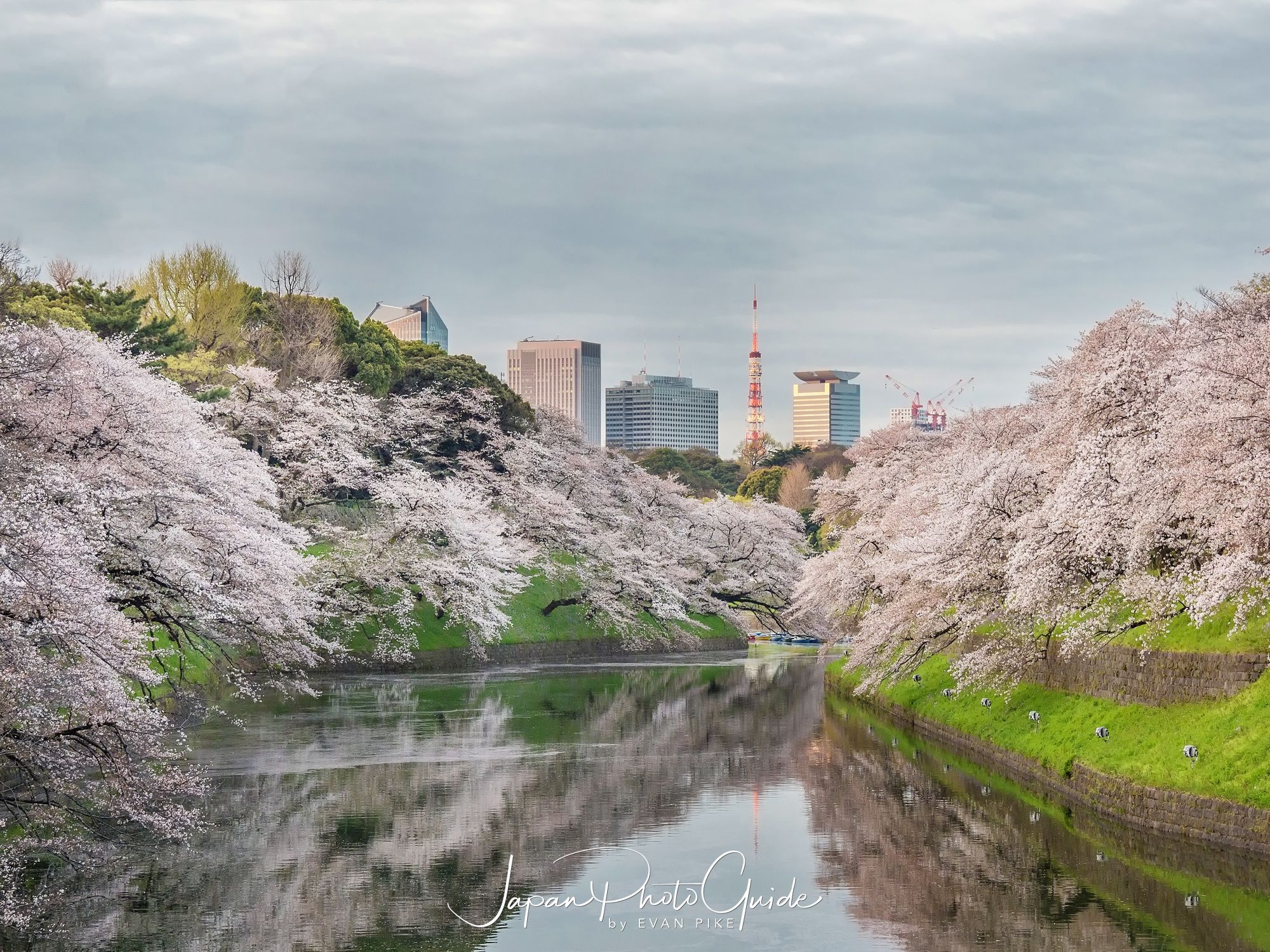 2018 Cherry Blossom Photo Tour of Japan | Tokyo
