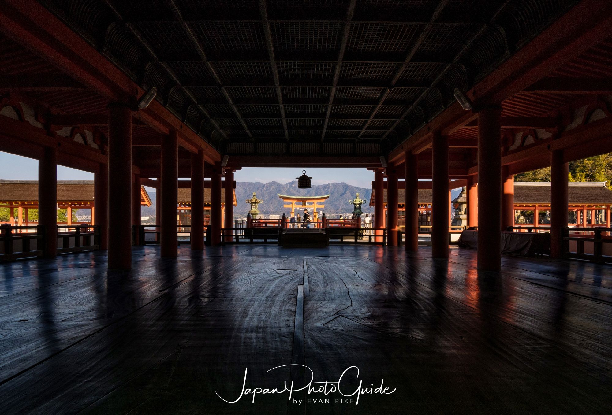 2019 Cherry Blossom Photo Tour | Miyajima and Hiroshima