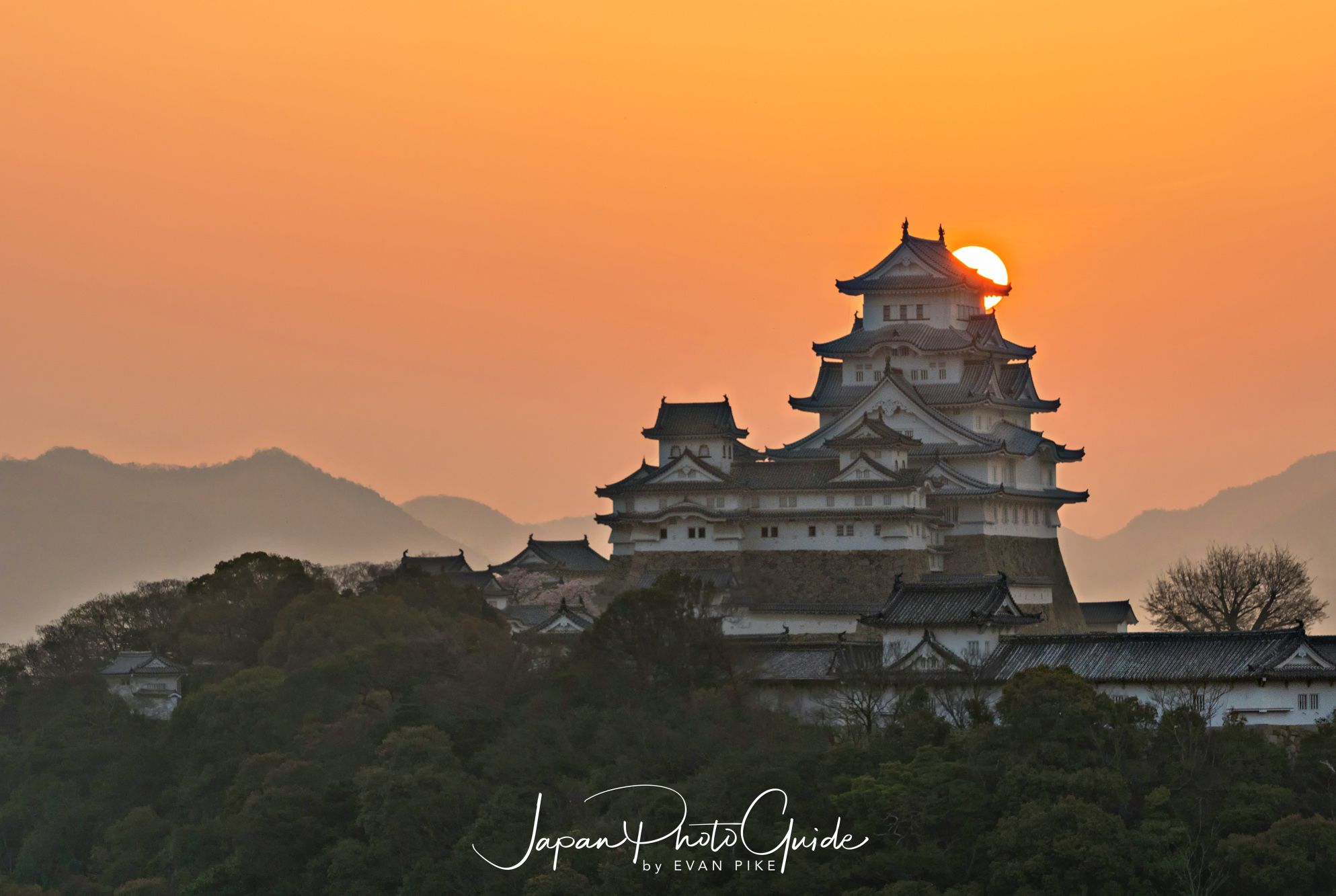 2018 Cherry Blossom Photo Tour of Japan | Himeji