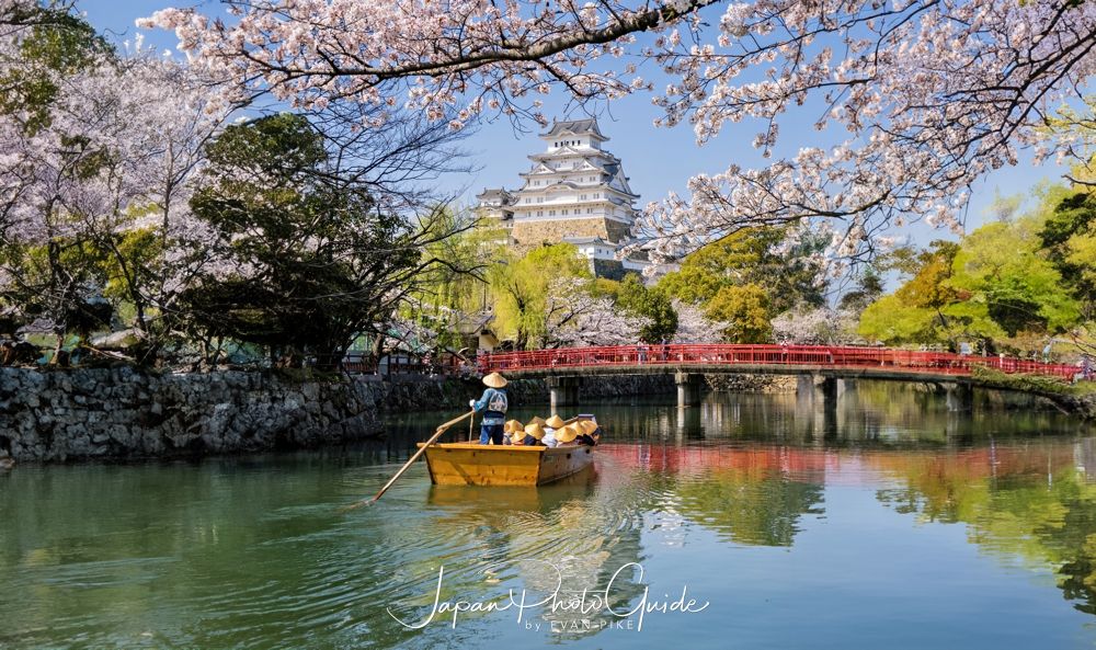A Castle in the Blossoms: Capturing Himeji Castle in Cherry Blossom Season 2023