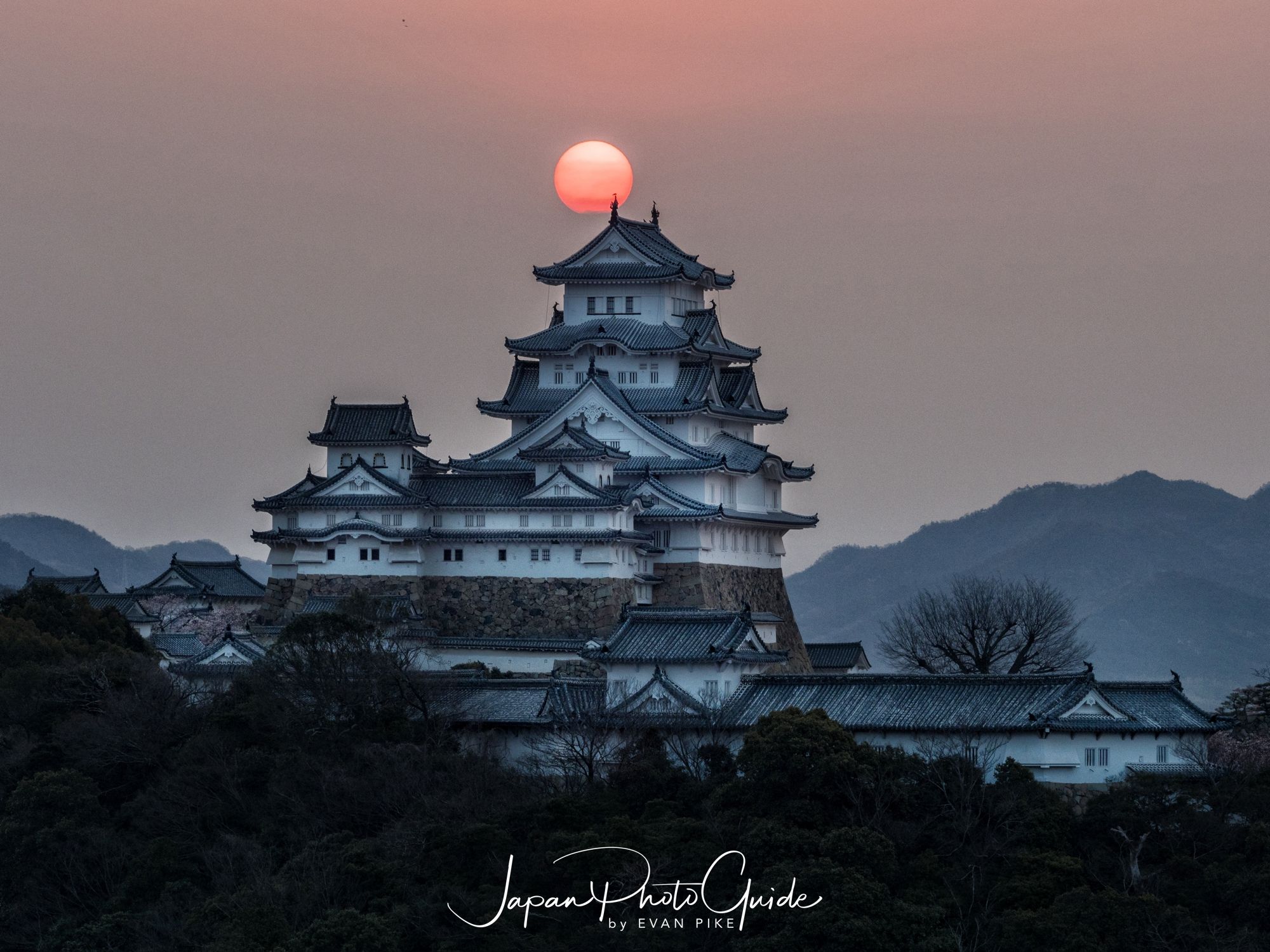 2019 Cherry Blossom Photo Tour | Himeji Castle