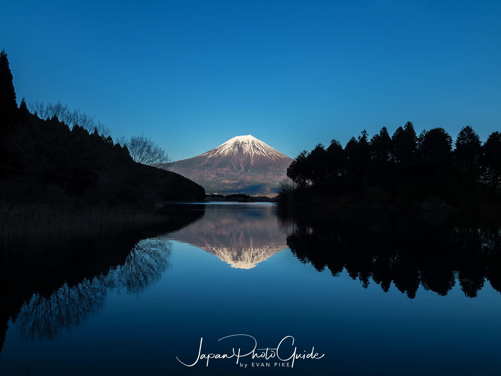 2018 Cherry Blossom Photo Tour of Japan | Mt. Fuji