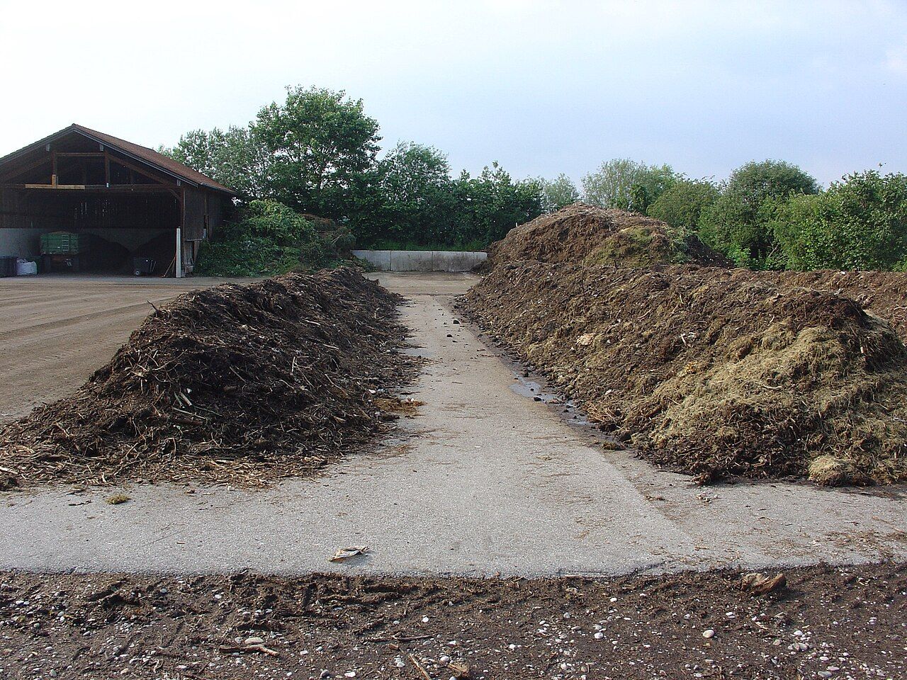 A compost bin turning food scraps into nutrient-rich soil