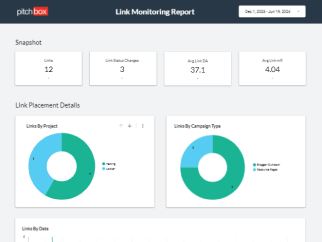 Link Monitoring Report
