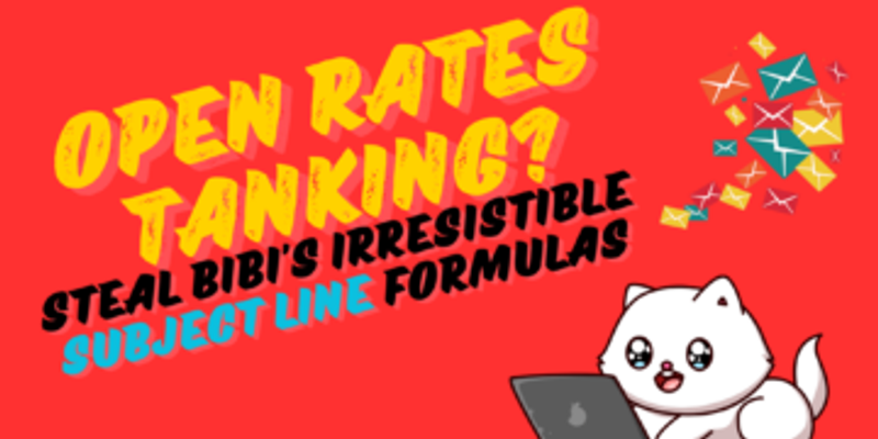 Open Rates Tanking? Steal Bibi’s Irresistible Subject Line Formulas