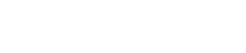 Visiture logo
