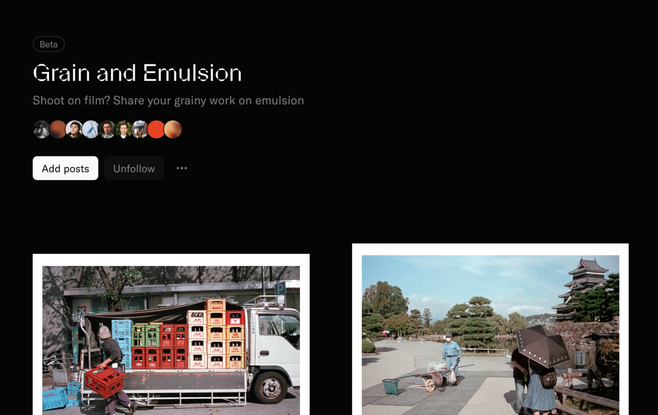 A screenshot of the Grain and Emulsion collective, a place for film photographers to share their work
