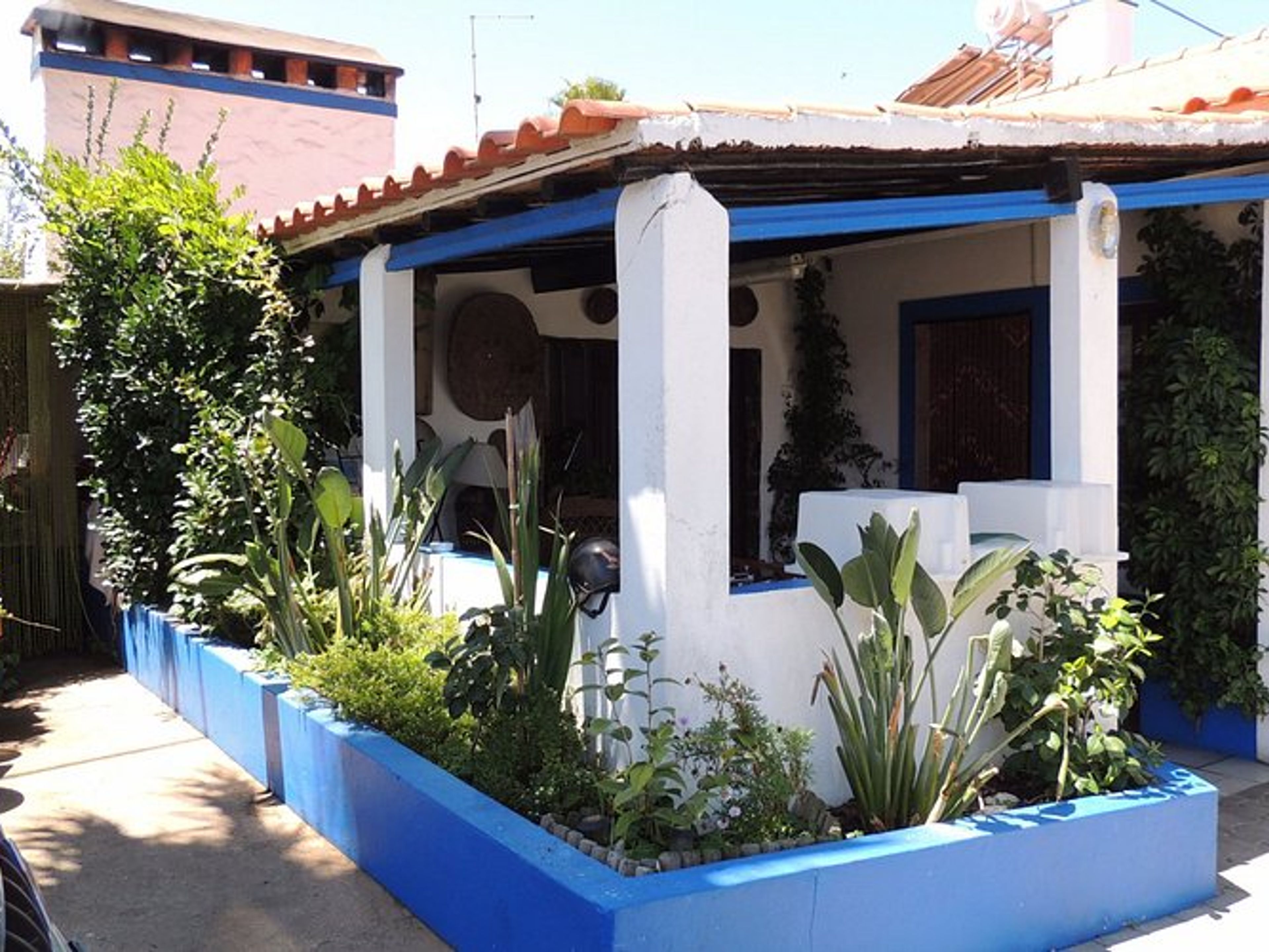 O Amândio em Vila Nova de Milfontes