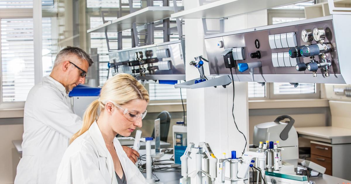 Product Purity Control Elevating High-Purity Gas Control with Precision and Purpose | GCE ...