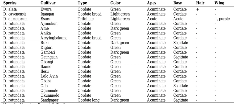 Characteristics of the leaves of the yam cultivars studied