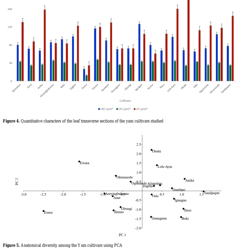 Principal components, eigenvalues, and proportion of variation