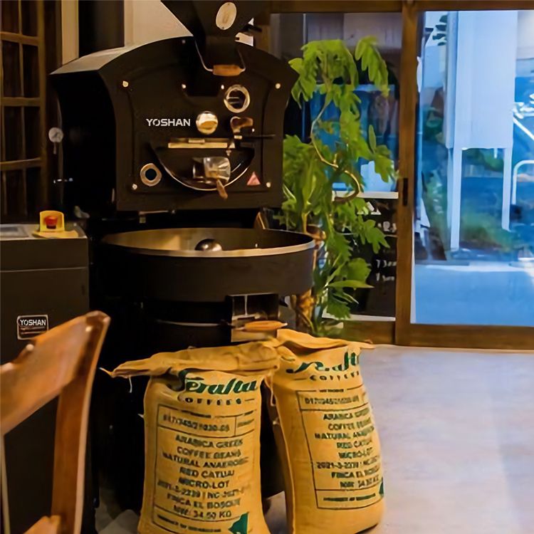 Yoshan SD-3 Coffee Roaster