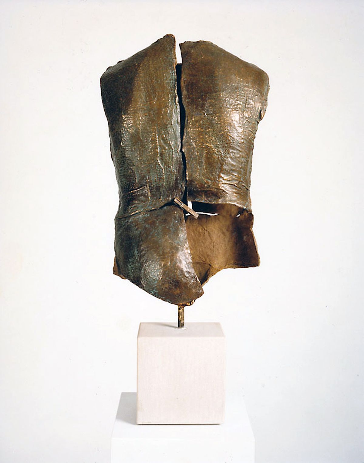TORSO