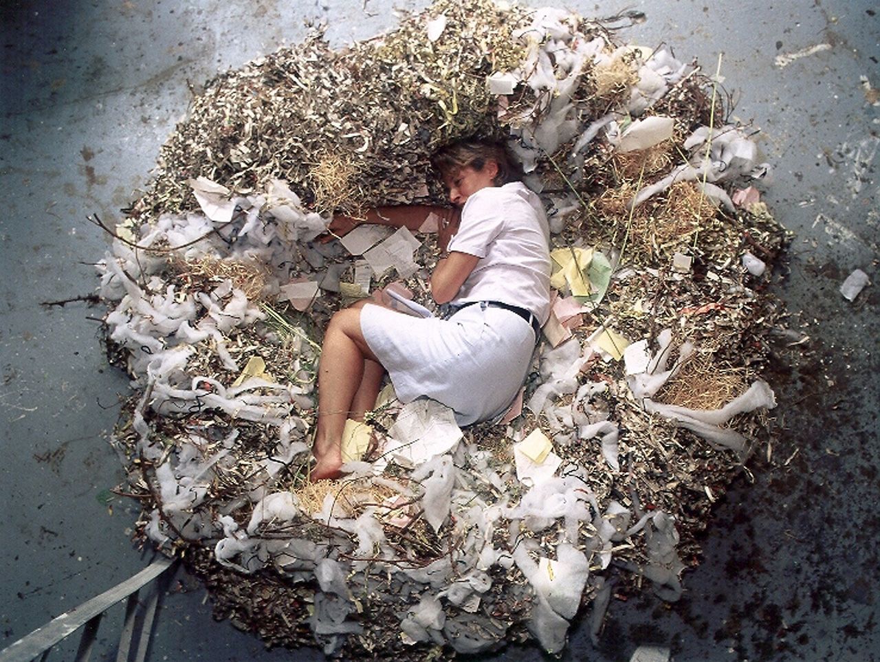 NIDO (Nest)