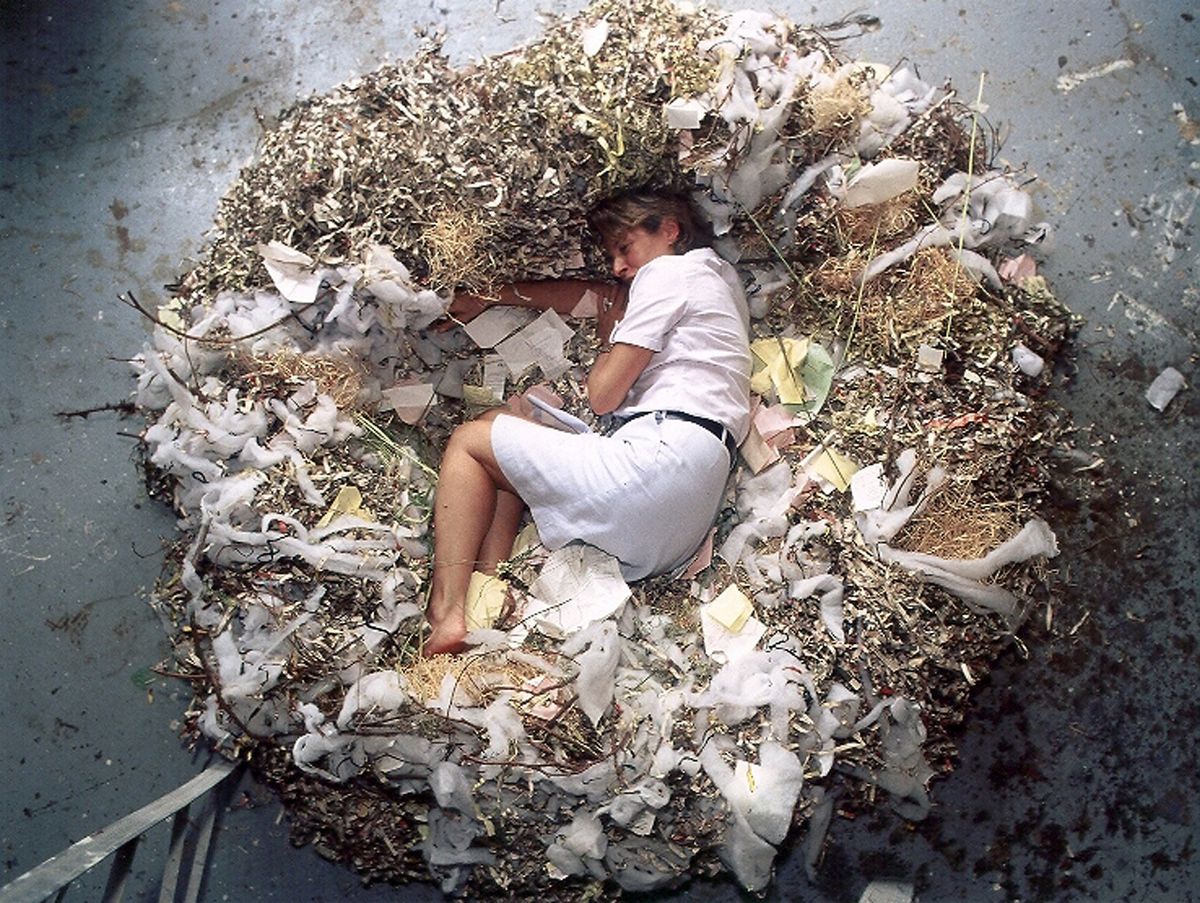 NIDO (Nest)
