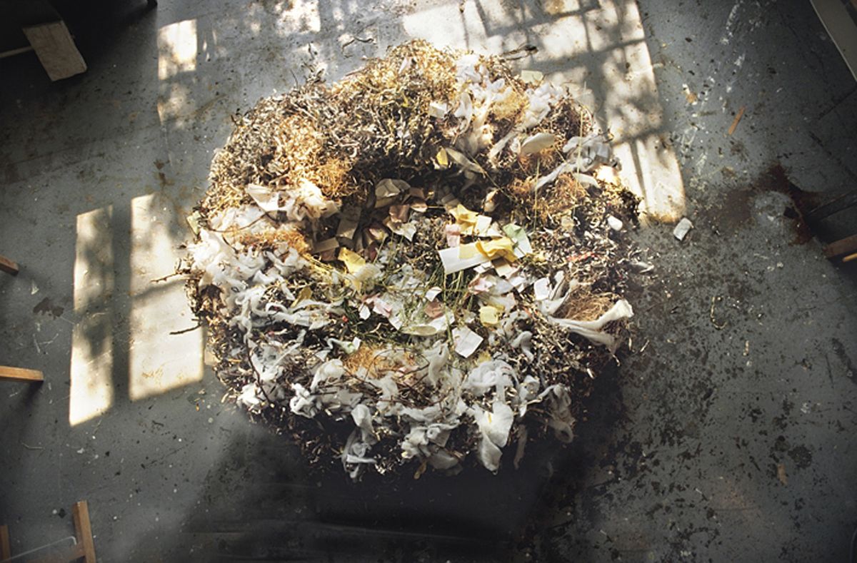 NIDO (Nest)