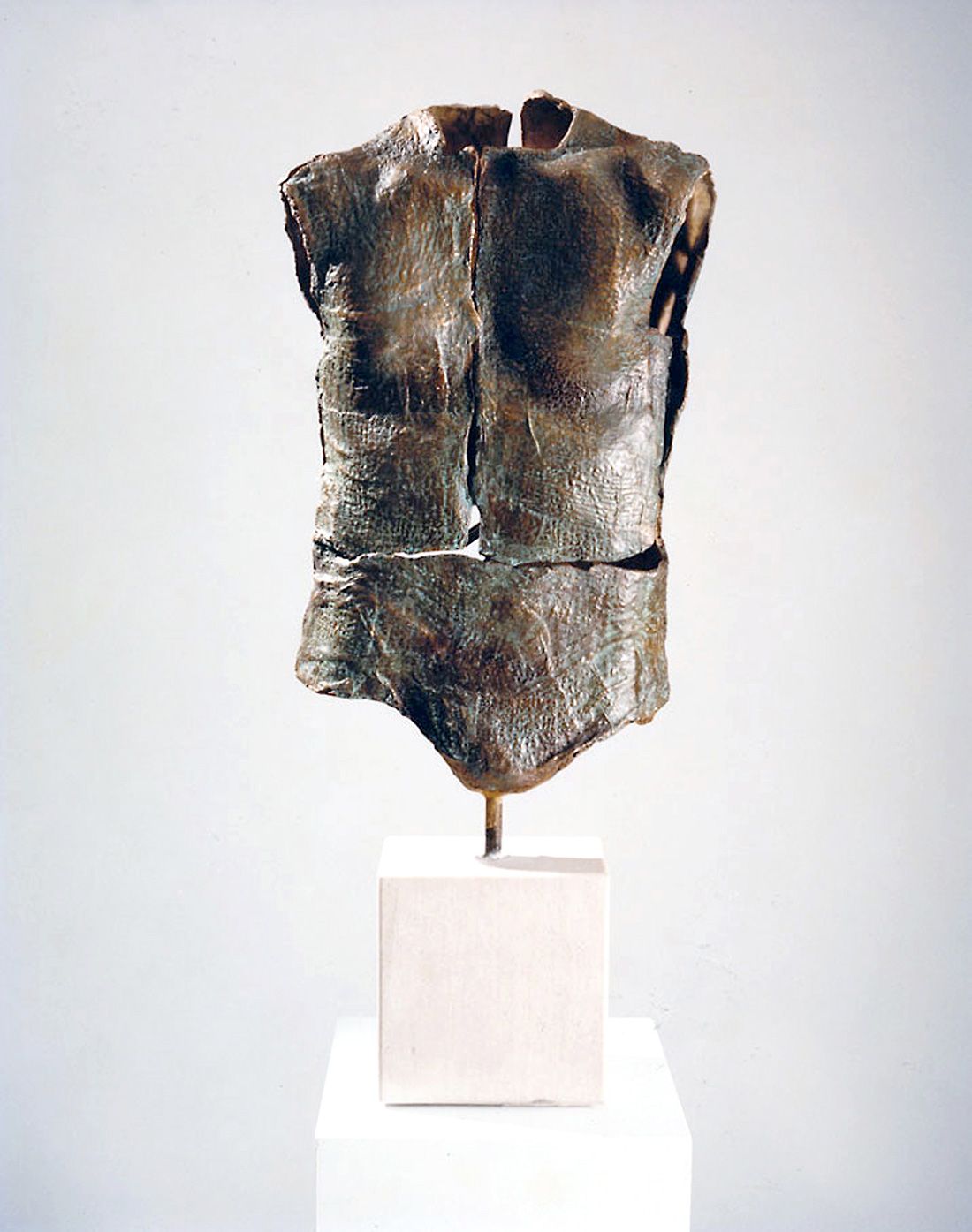 TORSO