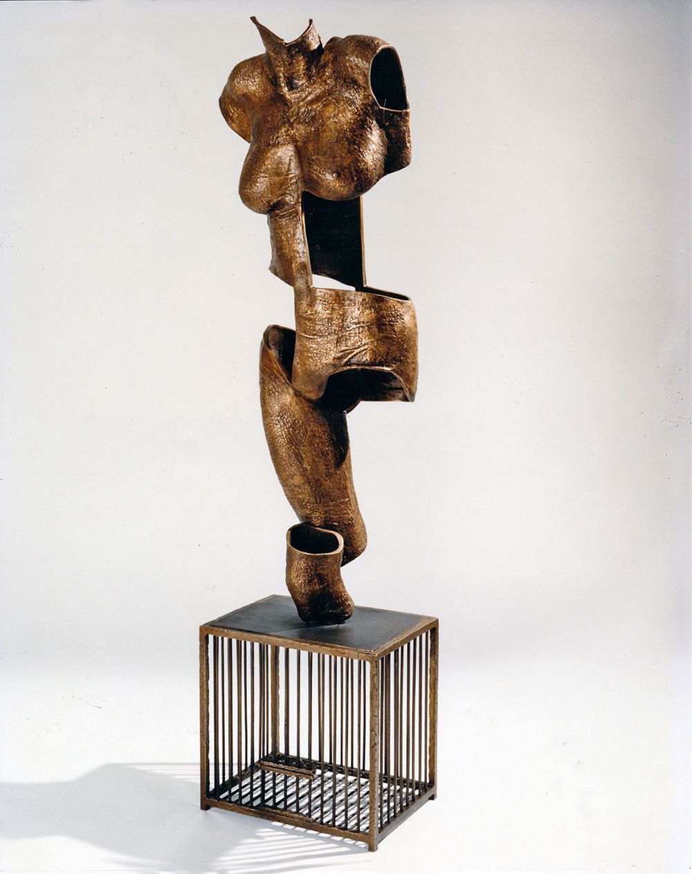 VENUS AND THE CAGE
