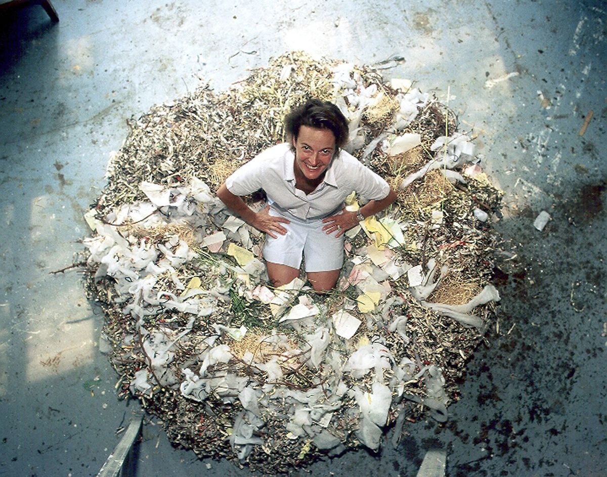 NIDO (Nest)