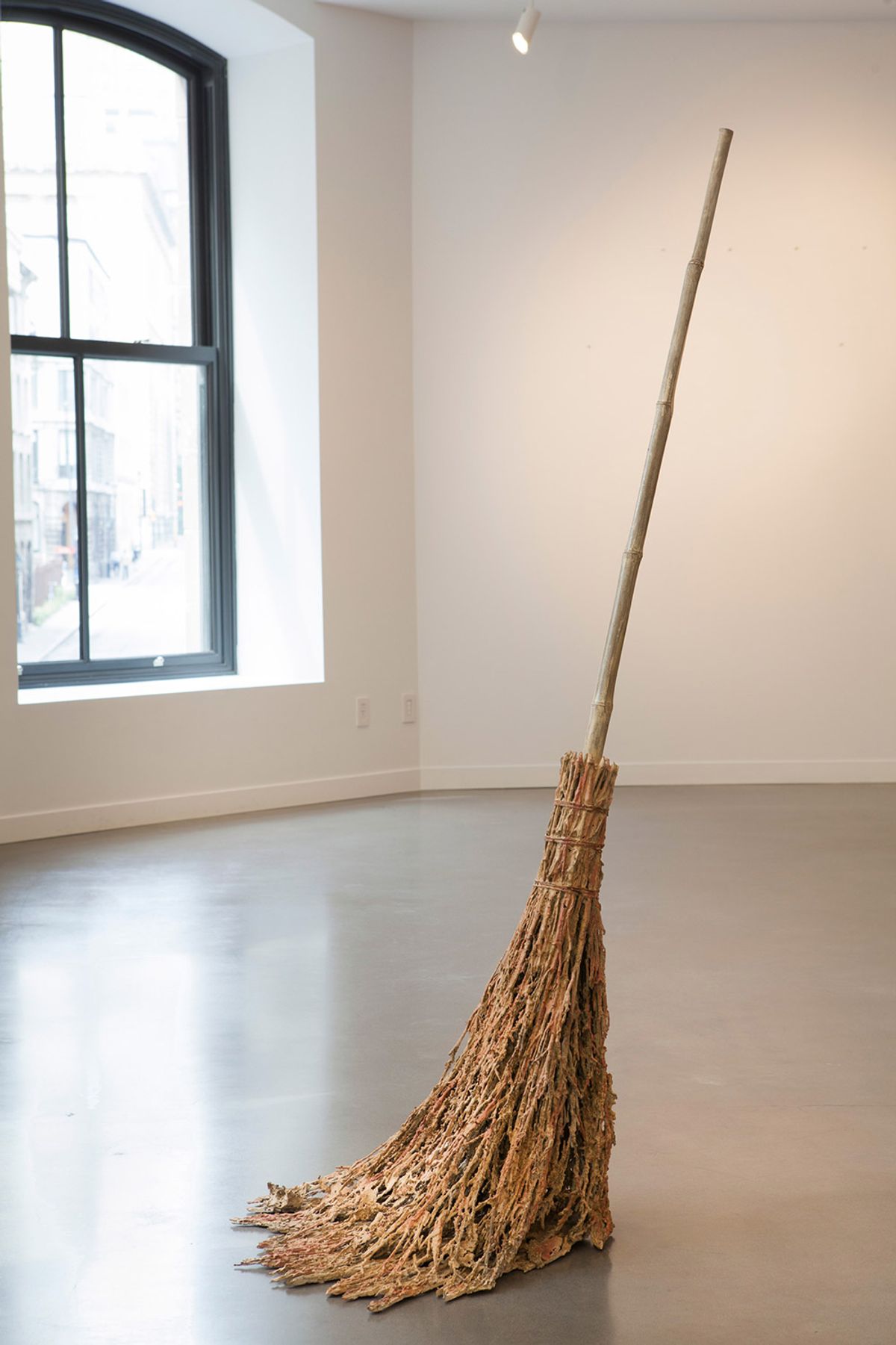RAMAZZA (Garden broom)