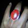 Nailufar