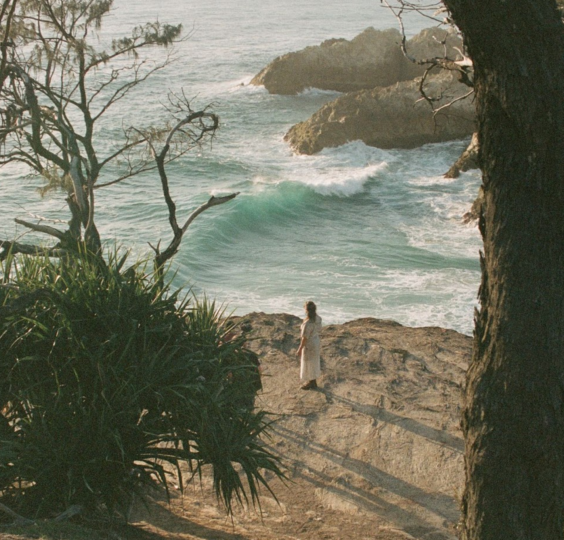 Person holding yellow flowers in the jungle