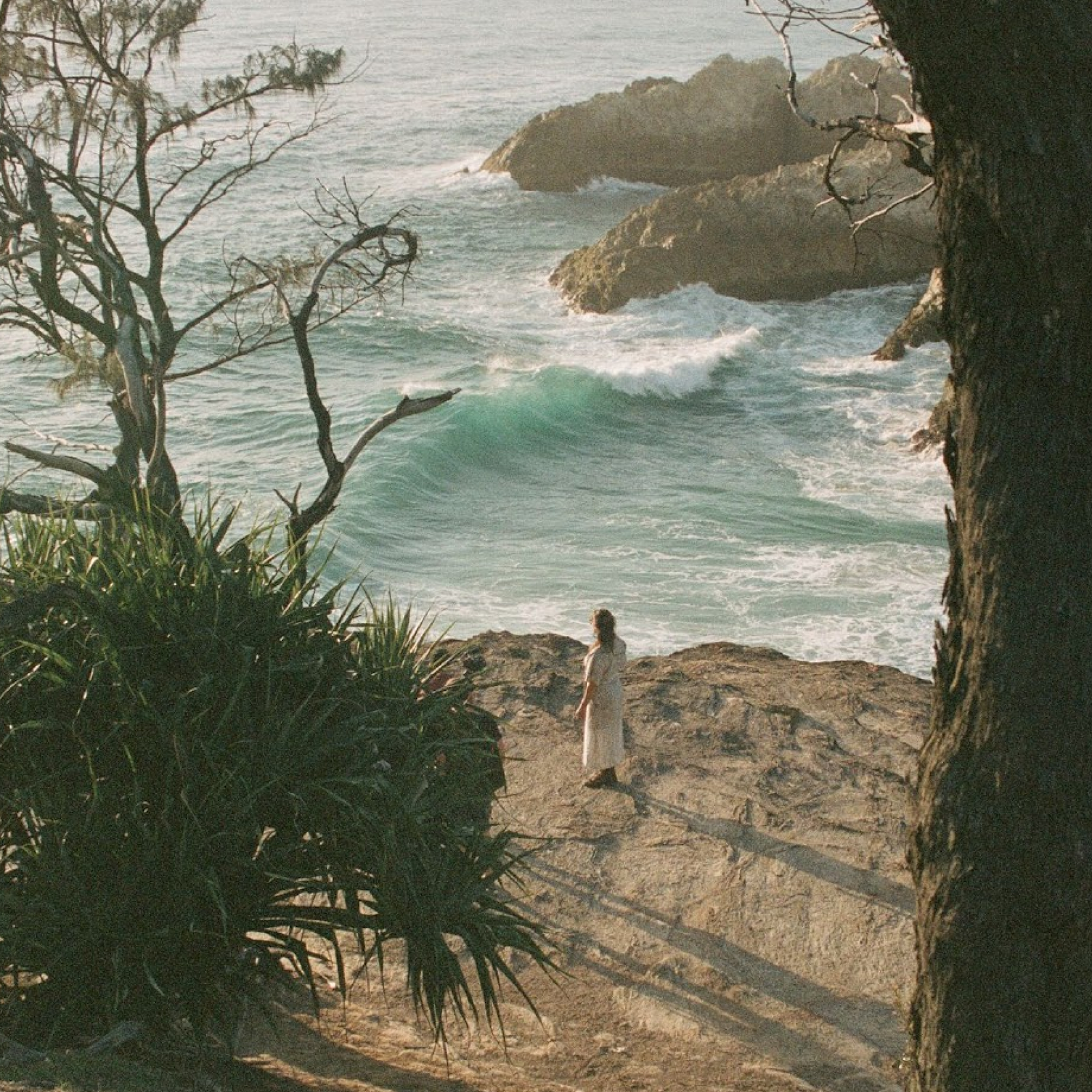 Person holding yellow flowers in the jungle