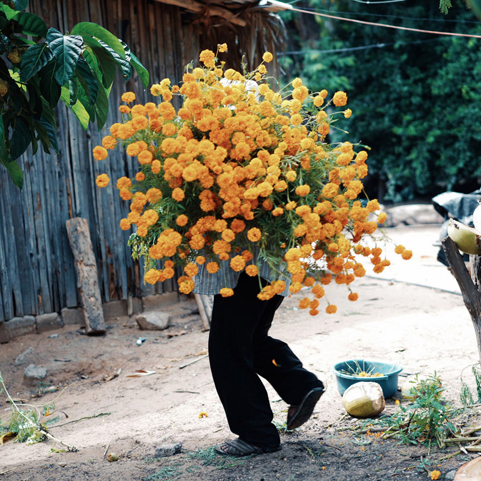 Person holding yellow flowers in the jungle