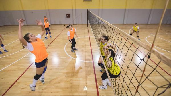 review-caruur-volley-gent-twizzit