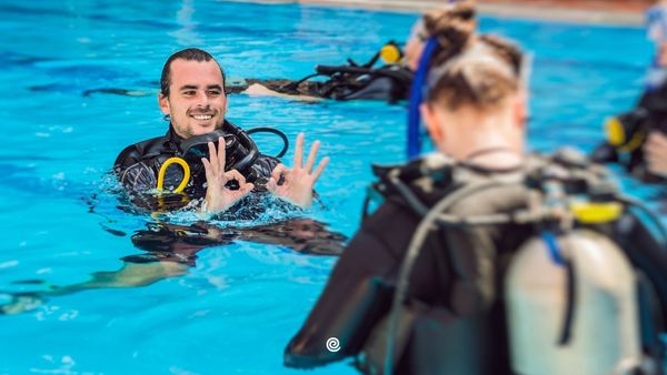 nelos-start-met-twizzit