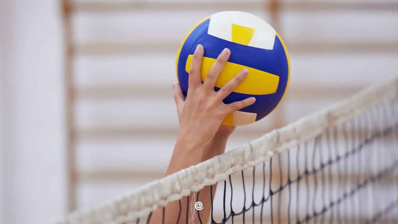 nieuwe-samenwerking-volley-vlaanderen-twizzit