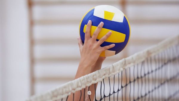 nieuwe-samenwerking-volley-vlaanderen-twizzit