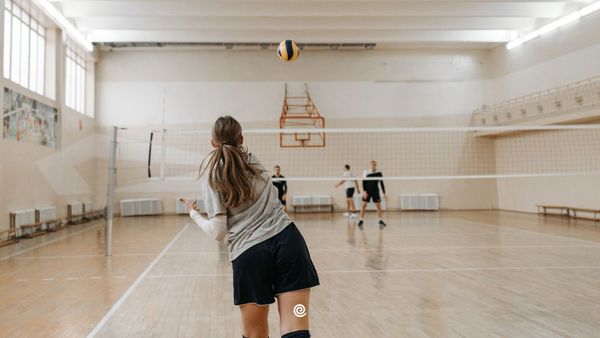 volleyscores-twizzit