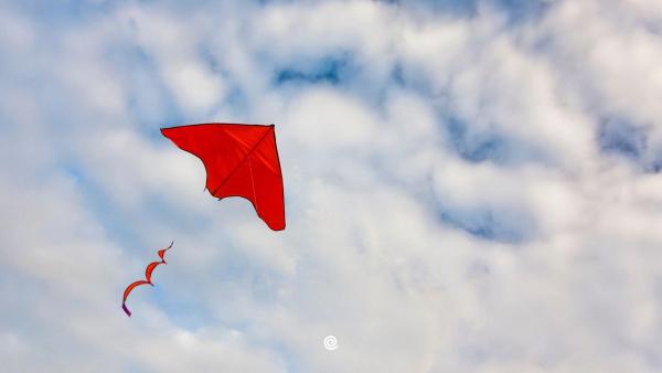 seizoen-gids-twizzit