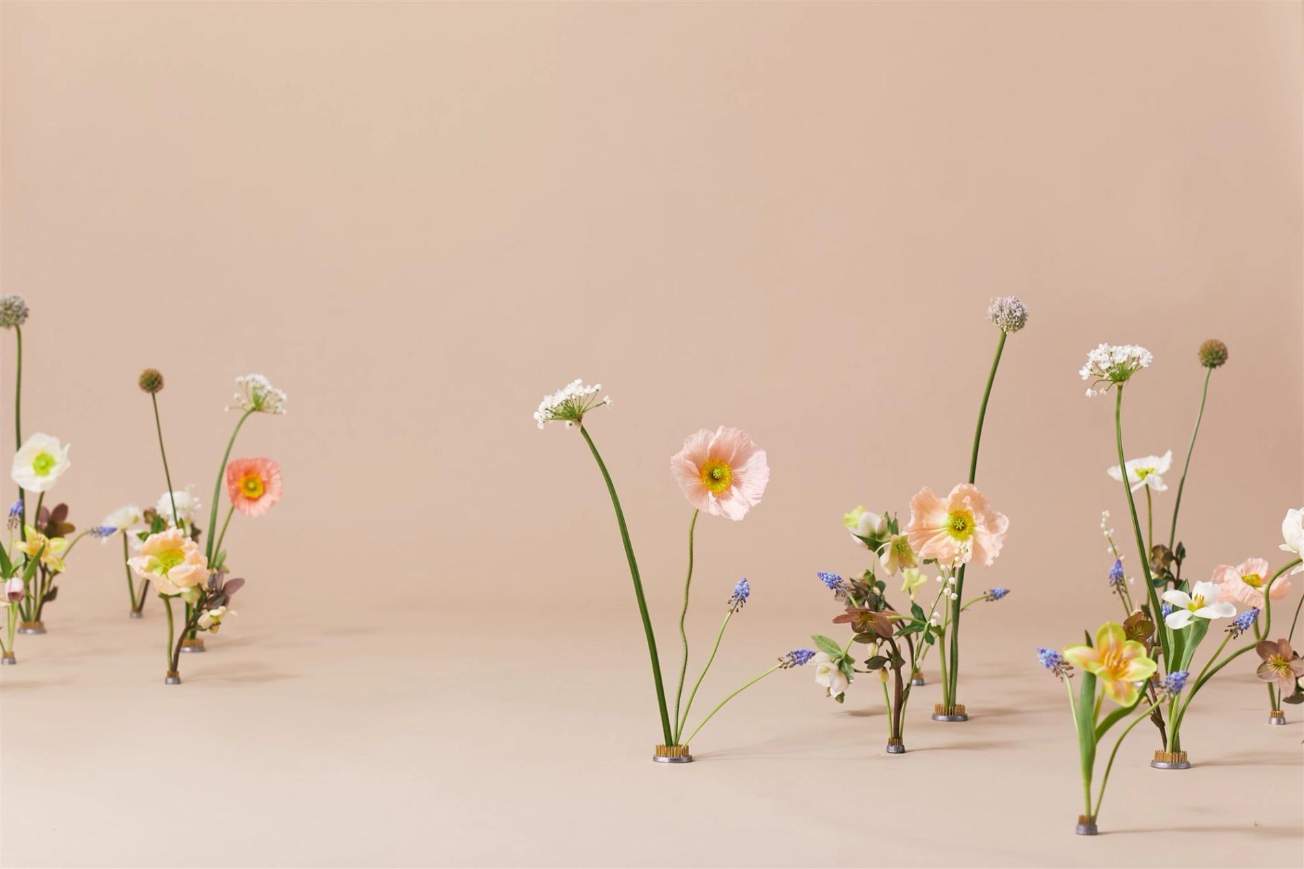 Minimalist arrangements of three to four flowers on tall stems inside of tiny stands grouped in front of a peach-beige background