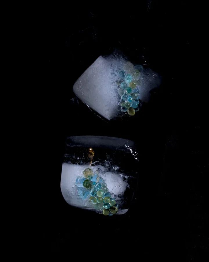 Earring No. 51