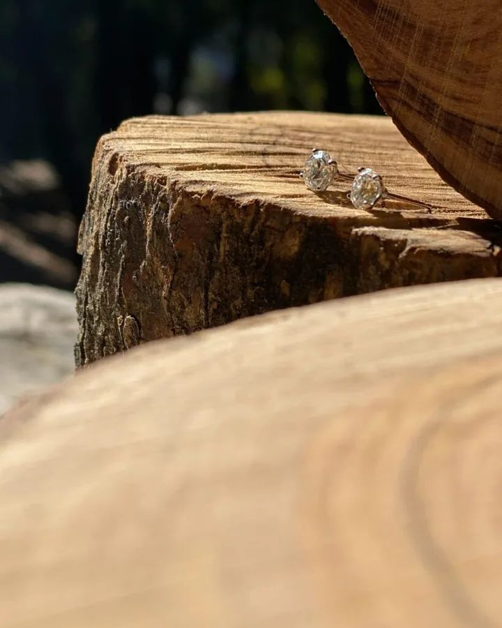 Earring No. 53