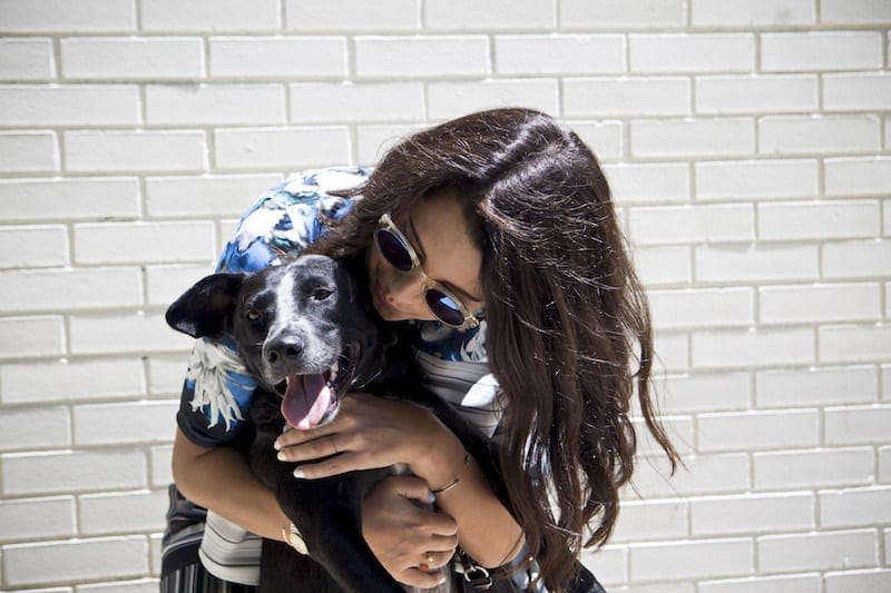 5 dream jobs for pet lovers